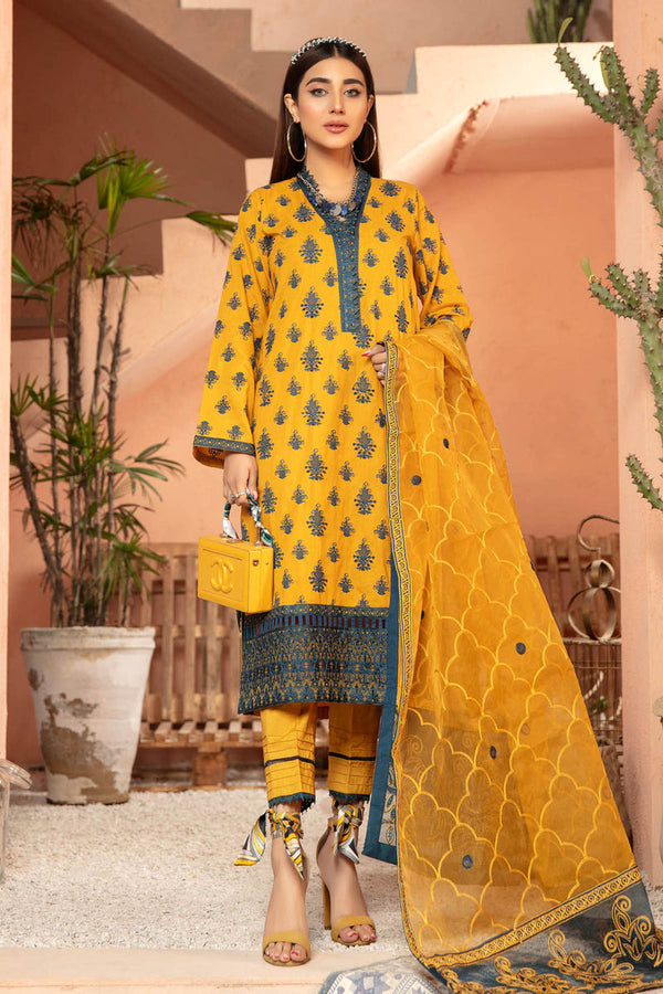 Adan's-Supernova by Carol Adan's Libas Embroidered Lawn Stitched Suit